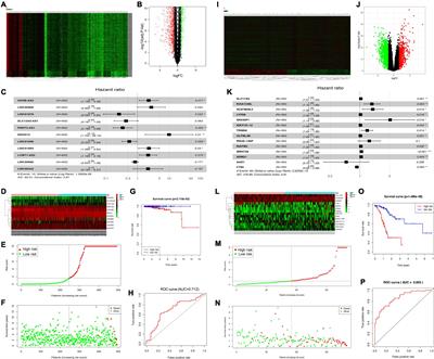 Long Non-coding RNAs LINC01679 as a Competitive Endogenous RNAs Inhibits the Development and Progression of Prostate Cancer via Regulating the miR-3150a-3p/SLC17A9 Axis